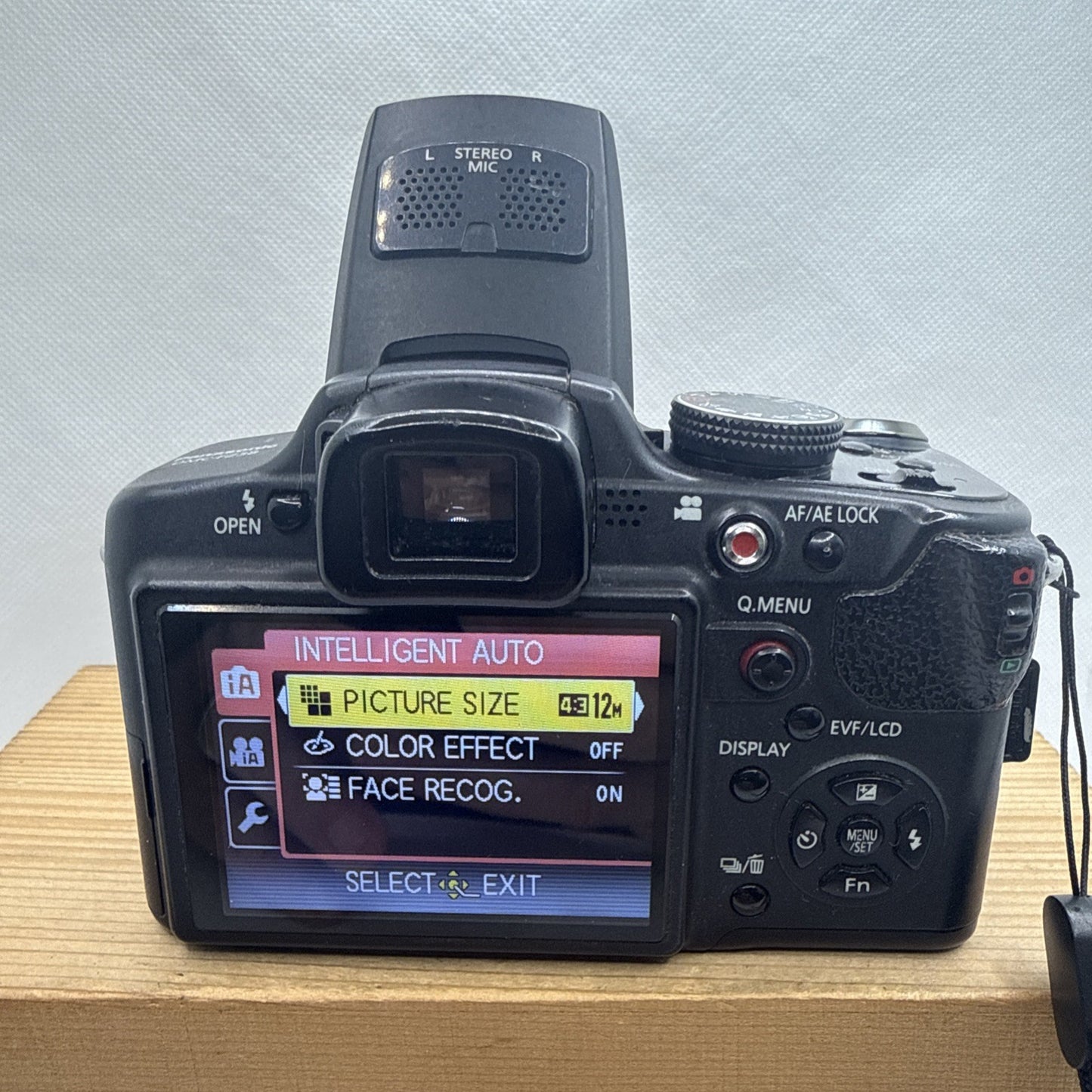 Panasonic LUMIX DMC-FZ38 12MP Digital Bridge Camera Tested + Accessories